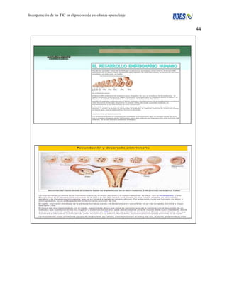 44 
Incorporación de las TIC en el proceso de enseñanza-aprendizaje 
 