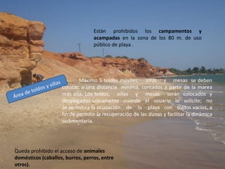 Cantidad de pasajeros por carro: 5