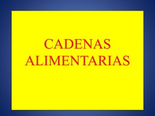 CADENAS 
ALIMENTARIAS 
 