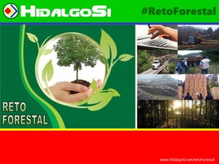 HidalgoSi #RetoForestal
www.HidalgoSi.net/retoForestal
 