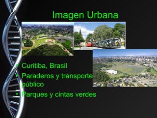 Imagen Urbana Curitiba, Brasil Paraderos y transporte público Parques y cintas verdes 