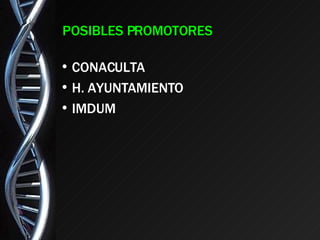 POSIBLES PROMOTORES CONACULTA H. AYUNTAMIENTO IMDUM 