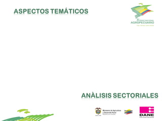 Propuesta y avances para la realización del 3er CNA