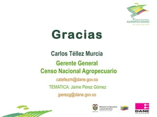 Propuesta y avances para la realización del 3er CNA