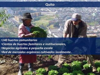 Quito
•140 huertos comunitarios
•Cientos de huertos familiares e institucionales,
•Negocios agrícolas a pequeña escala
•Red de mercados orgánicos cultivados localmente.
 