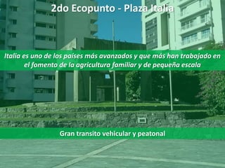 2do Ecopunto - Plaza Italia
Italia es uno de los países más avanzados y que más han trabajado en
el fomento de la agricultura familiar y de pequeña escala
Gran transito vehicular y peatonal
 