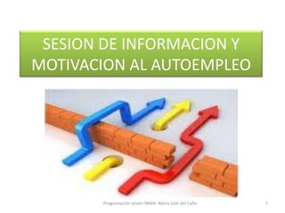 SESION DE INFORMACION Y
MOTIVACION AL AUTOEMPLEO




       Programación sesión INMA- María José del Caño   1
 