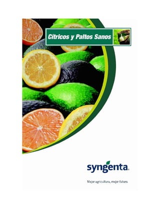 Propuesta syngenta para control de enfermedades en paltos y cítricos