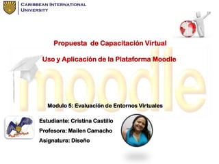 Propuesta de Capacitación Virtual
Uso y Aplicación de la Plataforma Moodle

Modulo 5: Evaluación de Entornos Virtuales
Estudiante: Cristina Castillo
Profesora: Mailen Camacho
Asignatura: Diseño

 