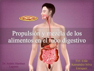 Propulsión y mezcla de los
alimentos en el tubo digestivo
Dr. Andrés Martínez
Lagunes
 