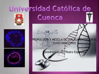 PROPULSION Y MEZCLA DE LOS ALIMENTOS EN EL
TUVO DIGESTIVO
Catedrático: Dr. Pedro Espinoza
 
