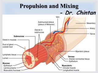 Propulsion and Mixing
- Dr. Chintan
 