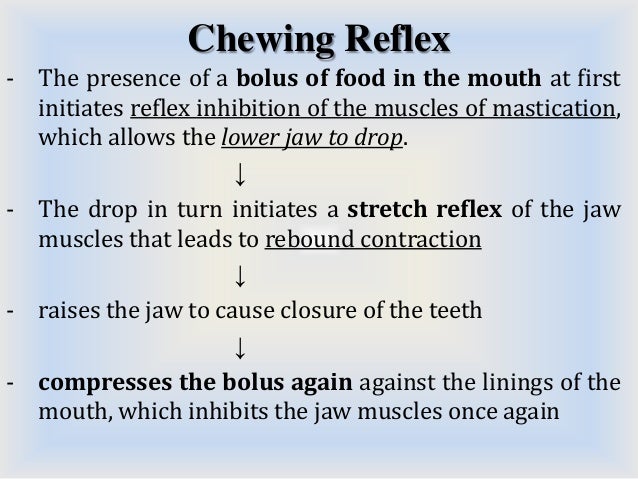 propulsion and mixing cranial nerve nuclei