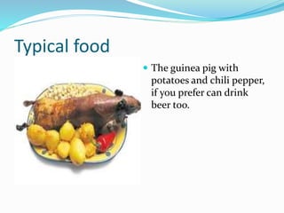 Typical food
 The guinea pig with
potatoes and chili pepper,
if you prefer can drink
beer too.
 