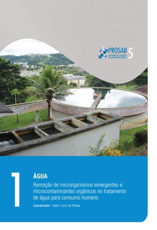 1
    Água
    Remoção de microrganismos emergentes e
    microcontaminantes orgânicos no tratamento
    de água para consumo humano
    coordenador Valter Lúcio de Pádua
 