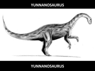 YUNNANOSAURUS

YUNNANOSAURUS

 