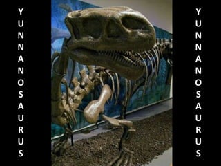 Y
U
N
N
A
N
O
S
A
U
R
U
S

Y
U
N
N
A
N
O
S
A
U
R
U
S

 