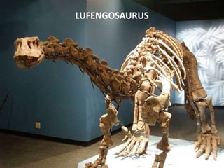 LUFENGOSAURUS

 