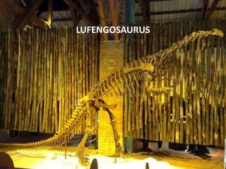 LUFENGOSAURUS

 