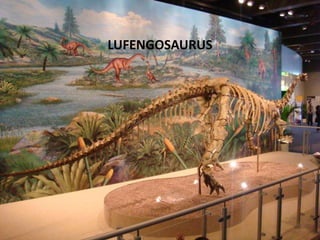 LUFENGOSAURUS

 