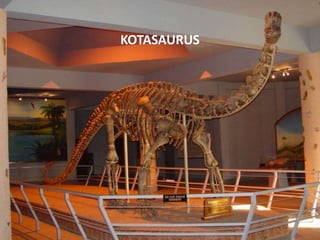 KOTASAURUS

 