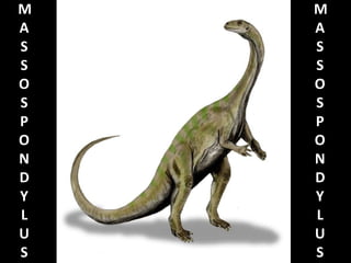 M
A
S
S
O
S
P
O
N
D
Y
L
U
S

M
A
S
S
O
S
P
O
N
D
Y
L
U
S

 