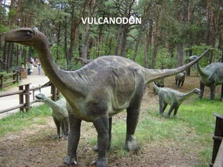 VULCANODON

 