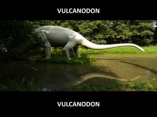 VULCANODON

VULCANODON

 