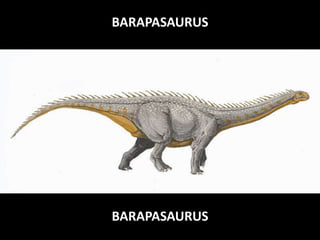 BARAPASAURUS

BARAPASAURUS

 