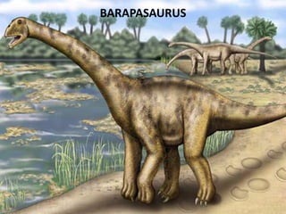 BARAPASAURUS

 