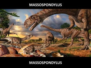 MASSOSPONDYLUS

MASSOSPONDYLUS

 