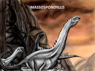 MASSOSPONDYLUS

 