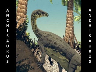 A
N
C
H
I
S
A
U
R
U
S

A
N
C
H
I
S
A
U
R
U
S

 