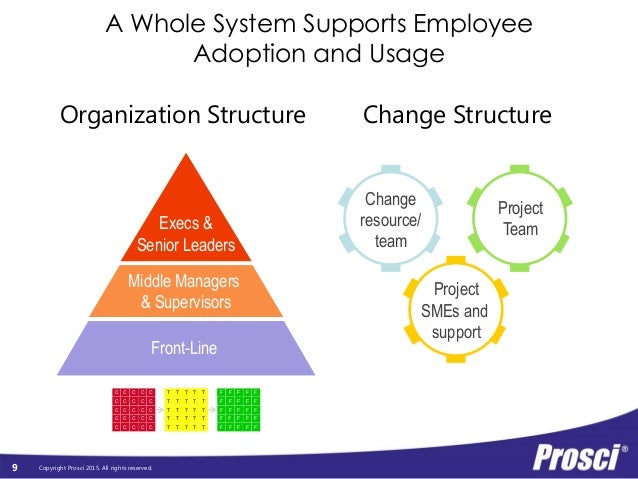 prosci roles in change management management of change