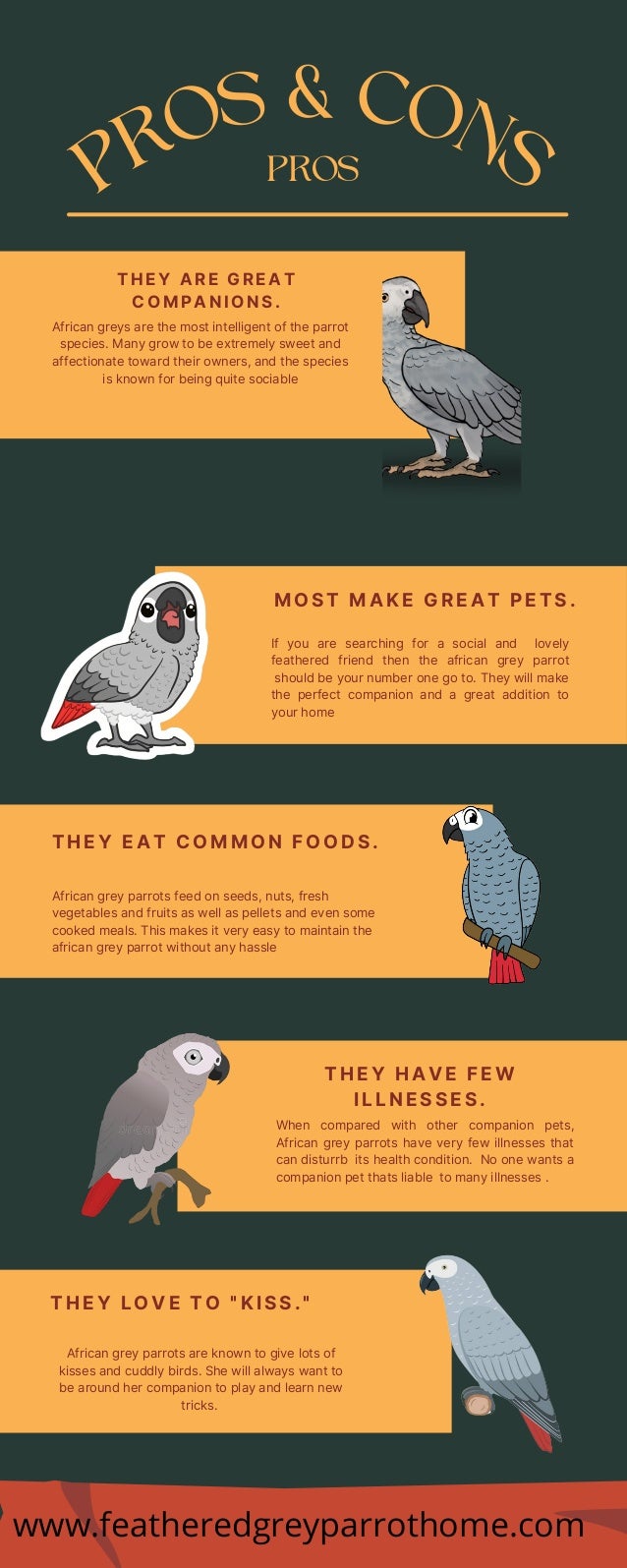 Pros & cons of african grey parrots.pdf