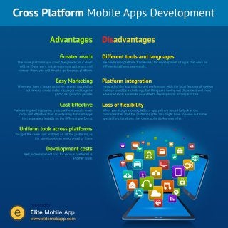 Pros & Cons of Cross Platform Mobile Apps Development [INFOGRAPHIC]