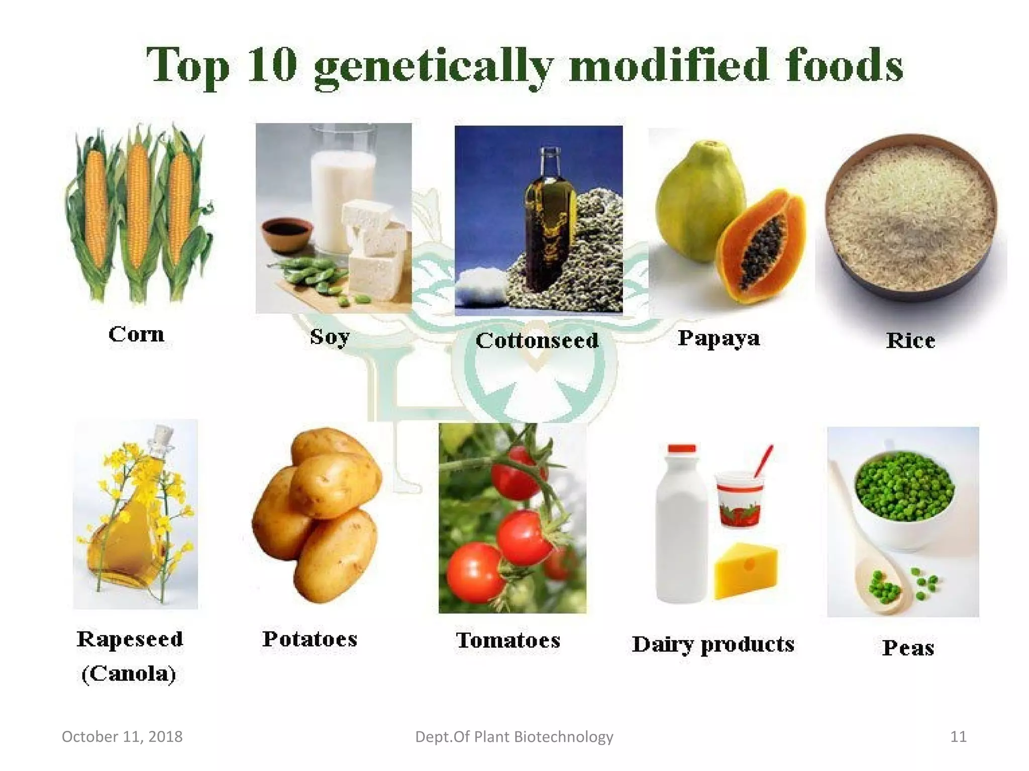 October 11, 2018 11Dept.Of Plant Biotechnology
 