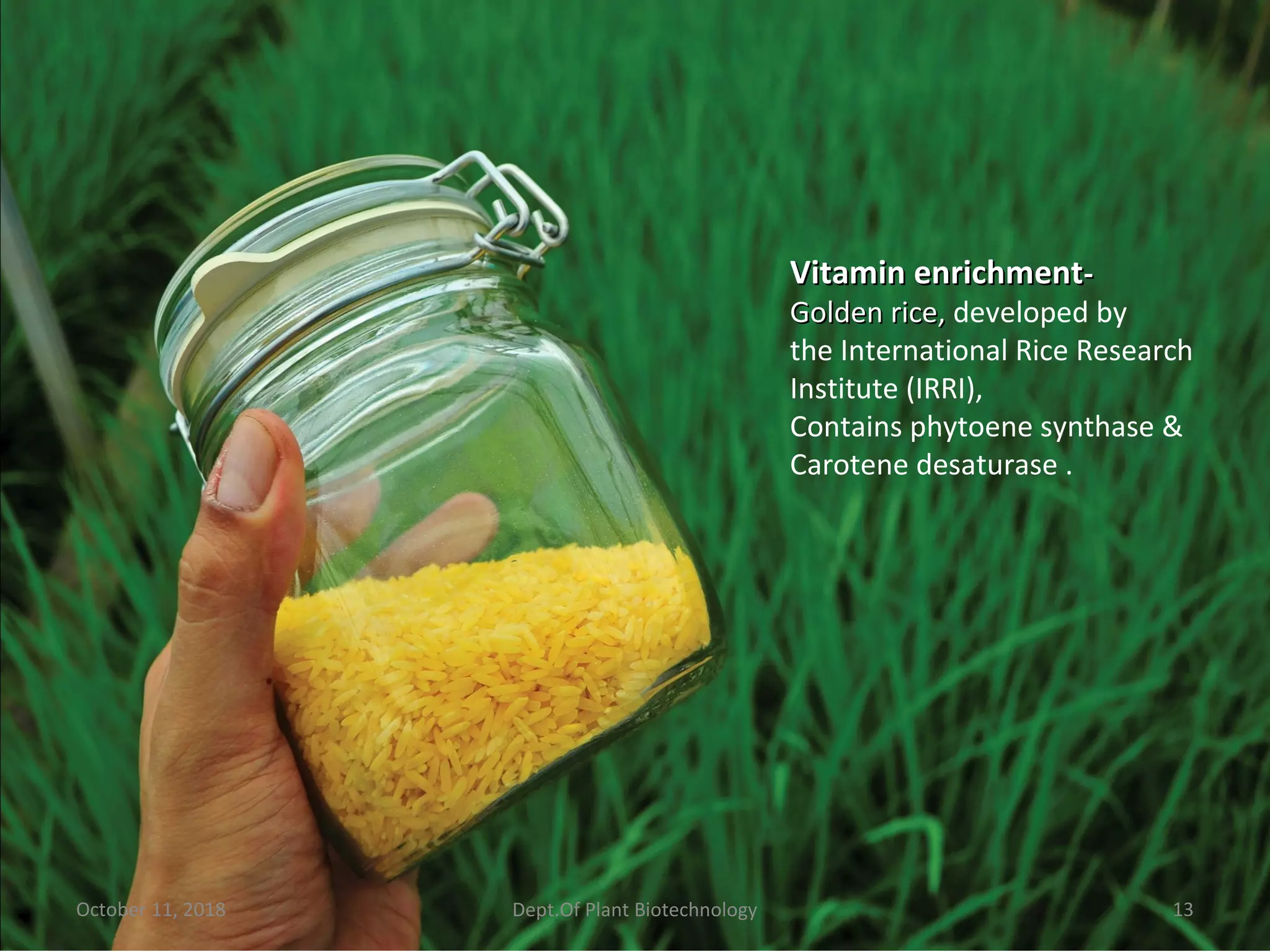 October 11, 2018 13Dept.Of Plant Biotechnology
Vitamin enrichmentVitamin enrichment--
Golden rice,Golden rice, developed by
the International Rice Research
Institute (IRRI),
Contains phytoene synthase &
Carotene desaturase .
 