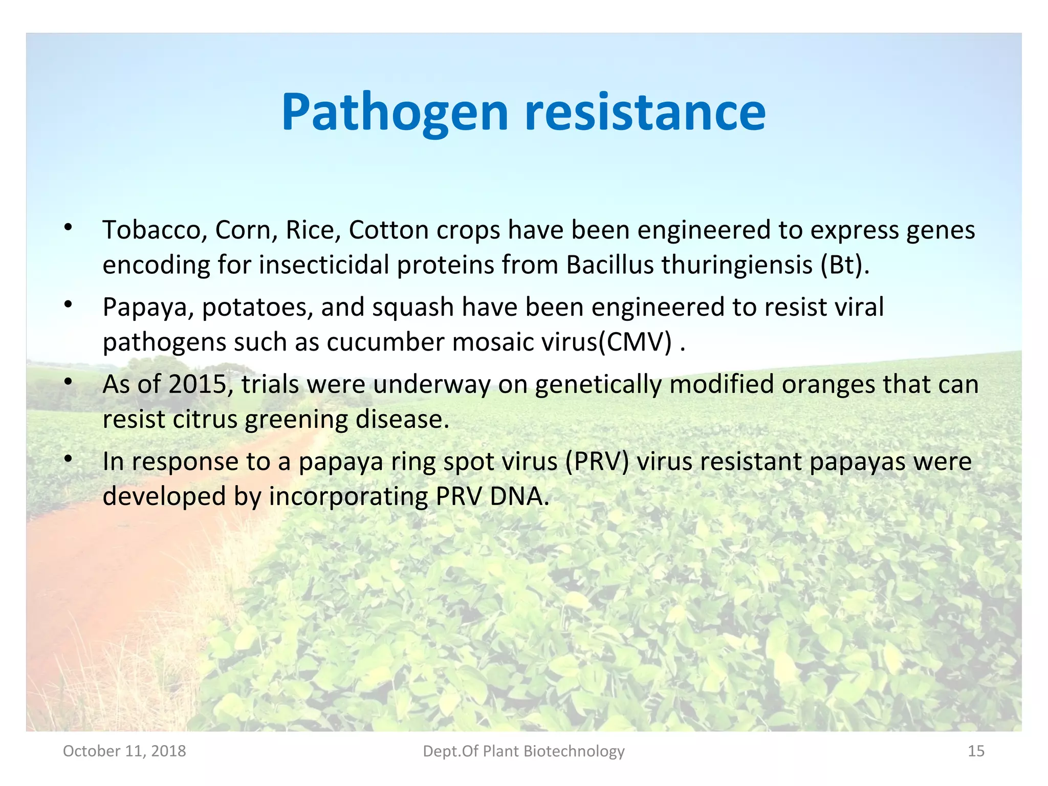 Pathogen resistance
• Tobacco, Corn, Rice, Cotton crops have been engineered to express genes
encoding for insecticidal proteins from Bacillus thuringiensis (Bt).
• Papaya, potatoes, and squash have been engineered to resist viral
pathogens such as cucumber mosaic virus(CMV) .
• As of 2015, trials were underway on genetically modified oranges that can
resist citrus greening disease.
• In response to a papaya ring spot virus (PRV) virus resistant papayas were
developed by incorporating PRV DNA.
October 11, 2018 Dept.Of Plant Biotechnology 15
 