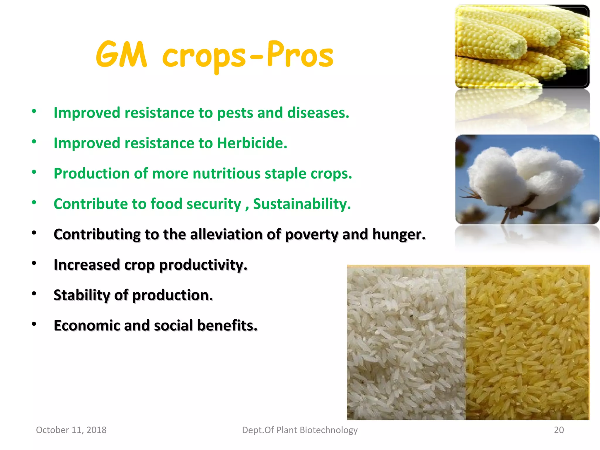 GM crops-Pros
• Improved resistance to pests and diseases.
• Improved resistance to Herbicide.
• Production of more nutritious staple crops.
• Contribute to food security , Sustainability.
• Contributing to the alleviation of poverty and hunger.Contributing to the alleviation of poverty and hunger.
• Increased crop productivity.Increased crop productivity.
• Stability of production.Stability of production.
• Economic and social benefits.Economic and social benefits.
October 11, 2018 20Dept.Of Plant Biotechnology
 