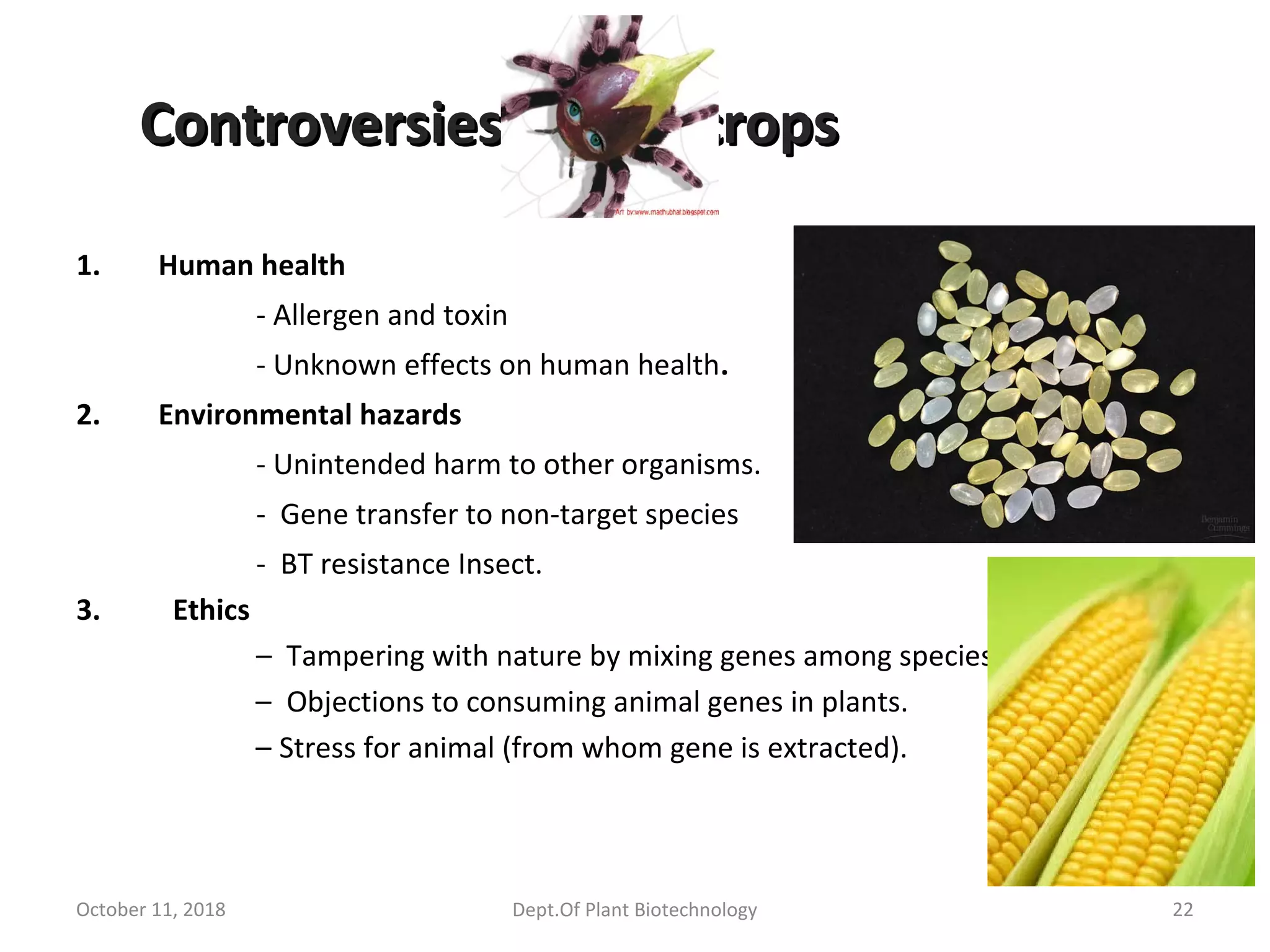Controversies of GM cropsControversies of GM crops
1. Human health
- Allergen and toxin
- Unknown effects on human health.
2. Environmental hazards
- Unintended harm to other organisms.
- Gene transfer to non-target species
- BT resistance Insect.
3. Ethics
– Tampering with nature by mixing genes among species .
– Objections to consuming animal genes in plants.
– Stress for animal (from whom gene is extracted).
October 11, 2018 22Dept.Of Plant Biotechnology
 