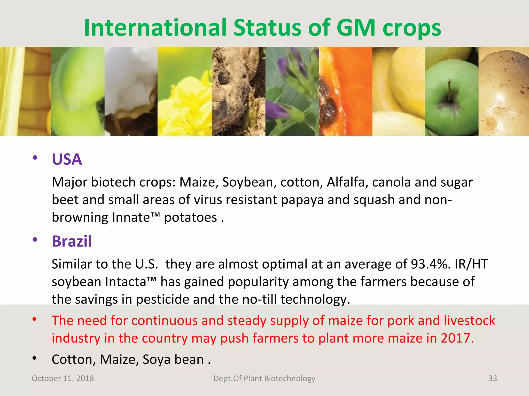 International Status of GM crops
• USA
Major biotech crops: Maize, Soybean, cotton, Alfalfa, canola and sugar
beet and small areas of virus resistant papaya and squash and non-
browning Innate™ potatoes .
• Brazil
Similar to the U.S. they are almost optimal at an average of 93.4%. IR/HT
soybean Intacta™ has gained popularity among the farmers because of
the savings in pesticide and the no-till technology.
• The need for continuous and steady supply of maize for pork and livestock
industry in the country may push farmers to plant more maize in 2017.
• Cotton, Maize, Soya bean .
October 11, 2018 Dept.Of Plant Biotechnology 33
 