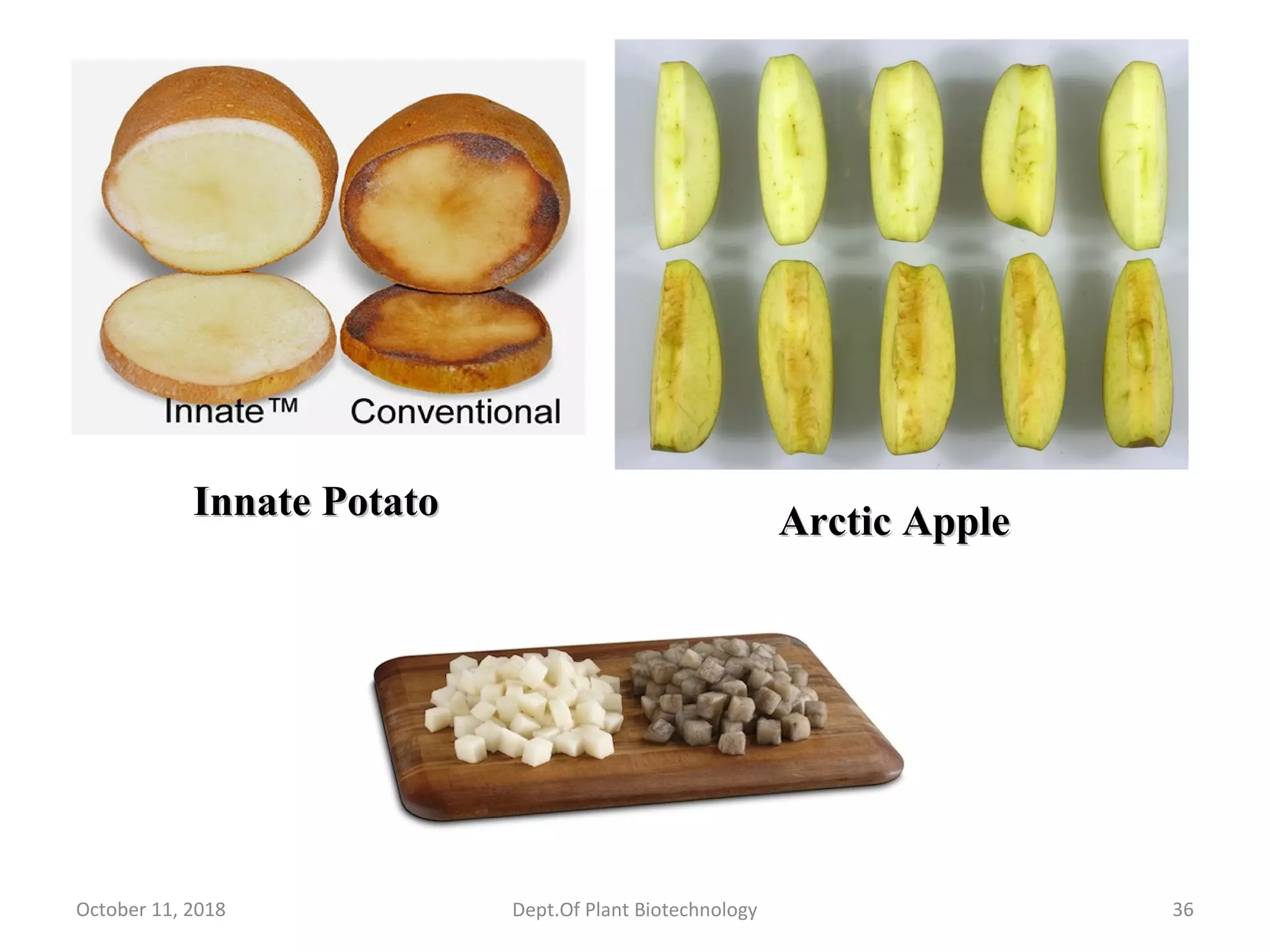 October 11, 2018 Dept.Of Plant Biotechnology 36
Arctic AppleArctic AppleInnate PotatoInnate Potato
 