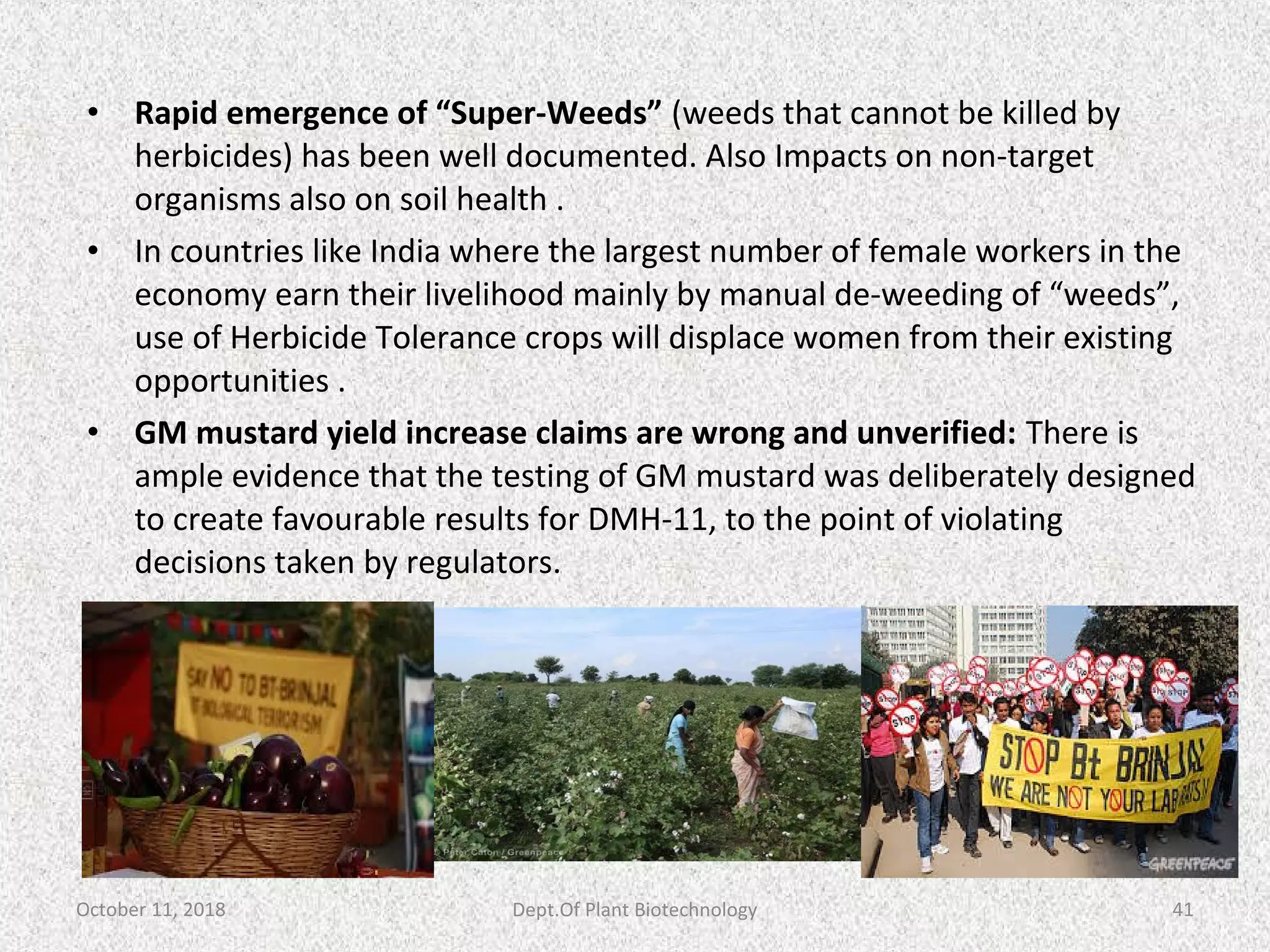 • Rapid emergence of “Super-Weeds” (weeds that cannot be killed by
herbicides) has been well documented. Also Impacts on non-target
organisms also on soil health .
• In countries like India where the largest number of female workers in the
economy earn their livelihood mainly by manual de-weeding of “weeds”,
use of Herbicide Tolerance crops will displace women from their existing
opportunities .
• GM mustard yield increase claims are wrong and unverified: There is
ample evidence that the testing of GM mustard was deliberately designed
to create favourable results for DMH-11, to the point of violating
decisions taken by regulators.
October 11, 2018 41Dept.Of Plant Biotechnology
 