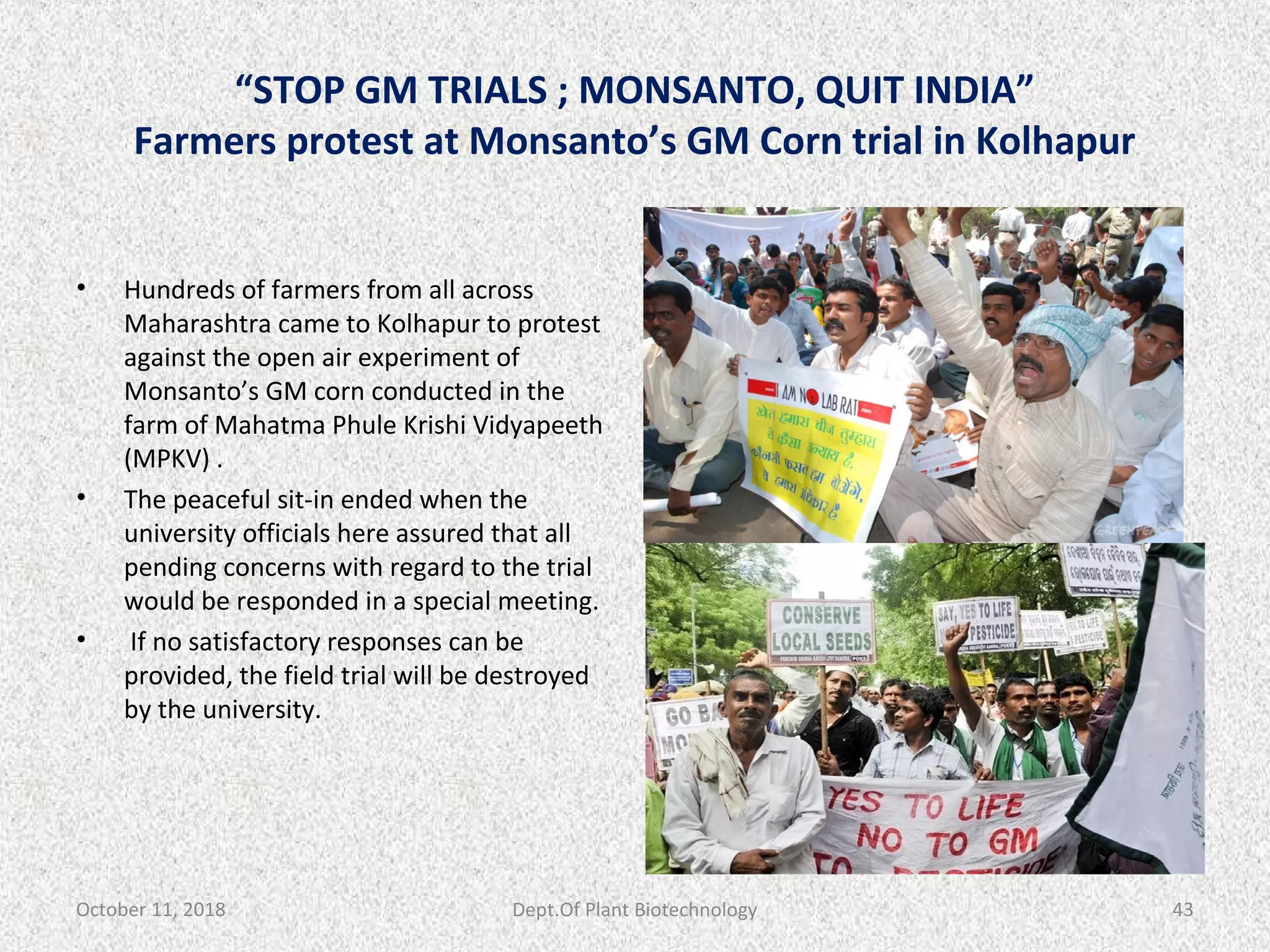 “STOP GM TRIALS ; MONSANTO, QUIT INDIA”
Farmers protest at Monsanto’s GM Corn trial in Kolhapur
• Hundreds of farmers from all across
Maharashtra came to Kolhapur to protest
against the open air experiment of
Monsanto’s GM corn conducted in the
farm of Mahatma Phule Krishi Vidyapeeth
(MPKV) .
• The peaceful sit-in ended when the
university officials here assured that all
pending concerns with regard to the trial
would be responded in a special meeting.
• If no satisfactory responses can be
provided, the field trial will be destroyed
by the university.
October 11, 2018 43Dept.Of Plant Biotechnology
 