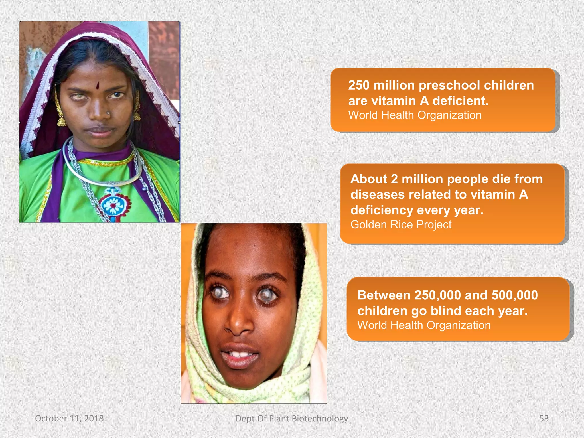 250 million preschool children
are vitamin A deficient.
World Health Organization
About 2 million people die from
diseases related to vitamin A
deficiency every year.
Golden Rice Project
Between 250,000 and 500,000
children go blind each year.
World Health Organization
October 11, 2018 53Dept.Of Plant Biotechnology
 