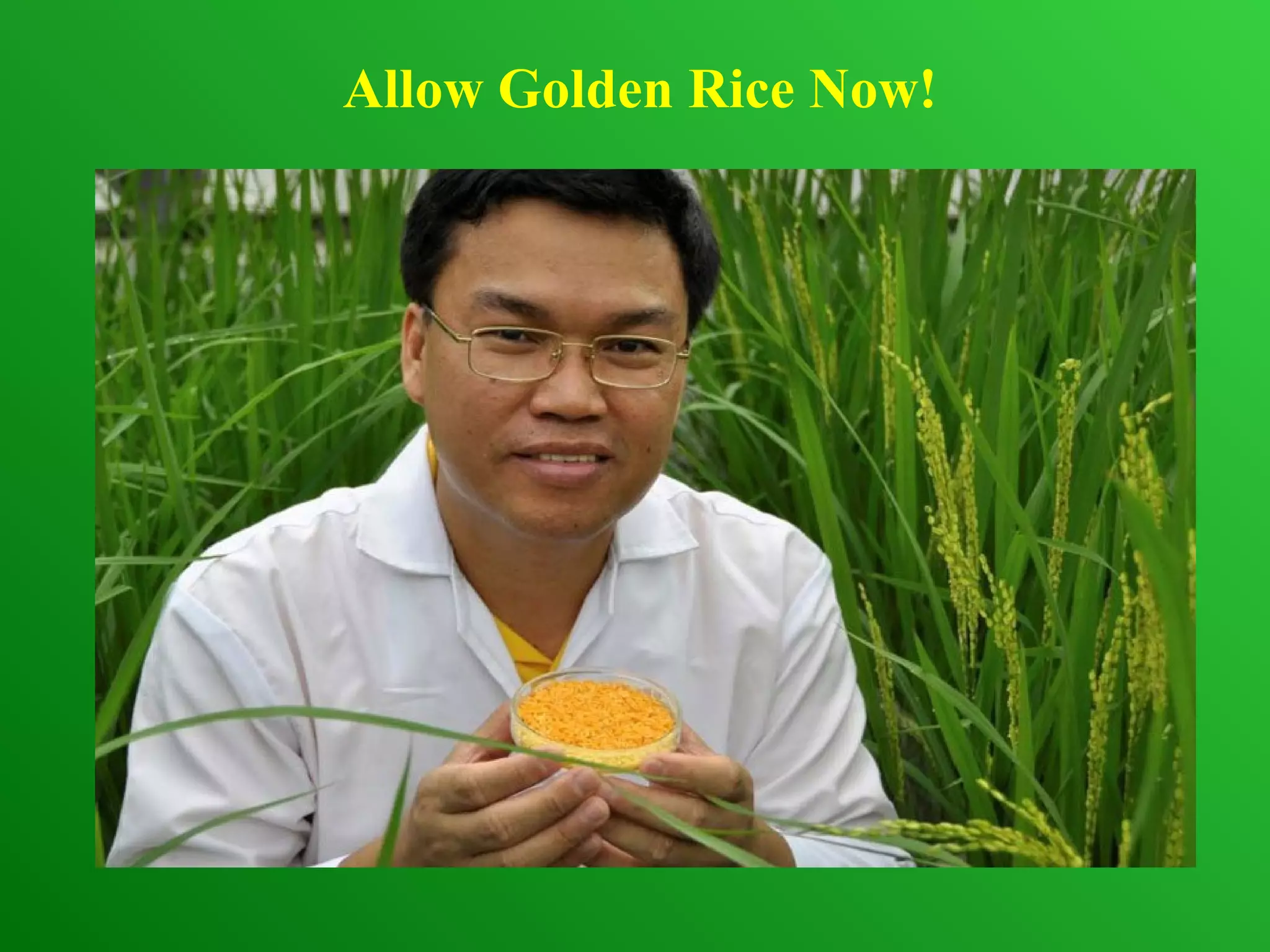 Allow Golden Rice Now!
 