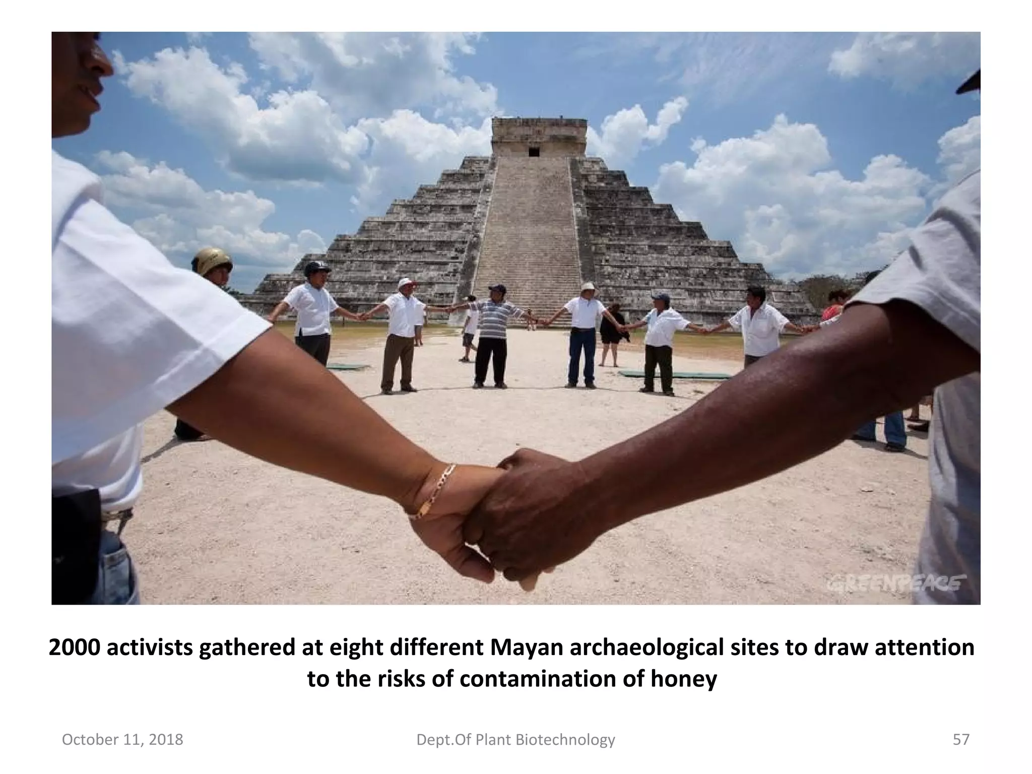 2000 activists gathered at eight different Mayan archaeological sites to draw attention
to the risks of contamination of honey
October 11, 2018 Dept.Of Plant Biotechnology 57
 