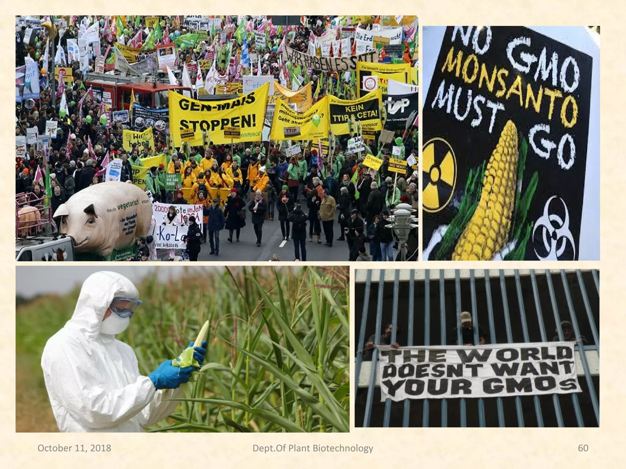 October 11, 2018 60Dept.Of Plant Biotechnology
 