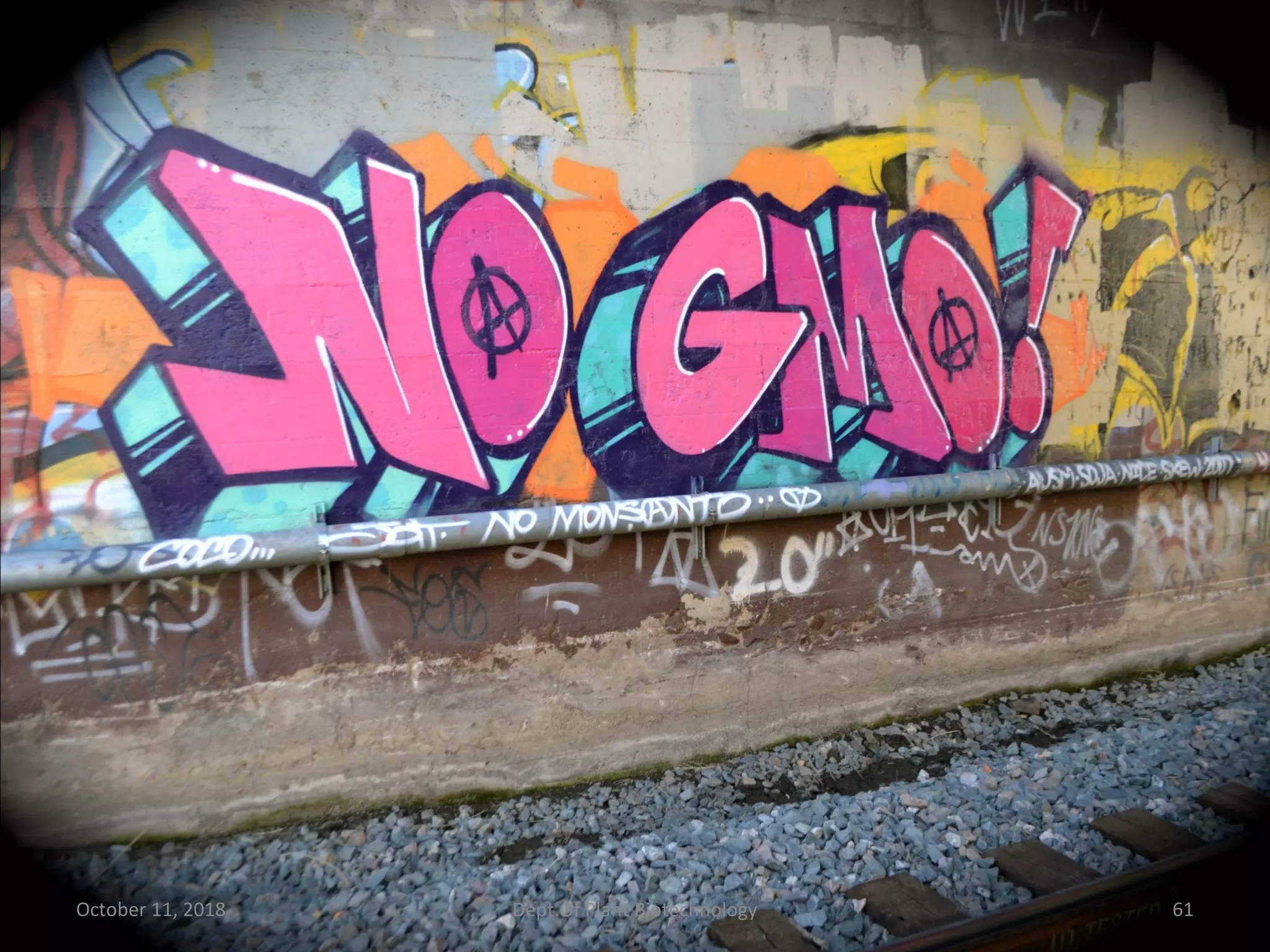 October 11, 2018 61Dept.Of Plant Biotechnology
 